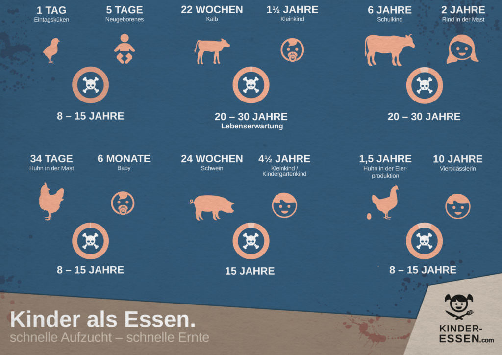 Infografik: Schlachtalter - Tiere sind kinder - Querformat