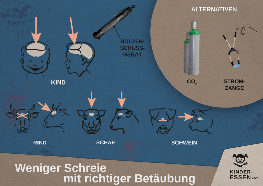 Infografik: Kinder richtig betäuben